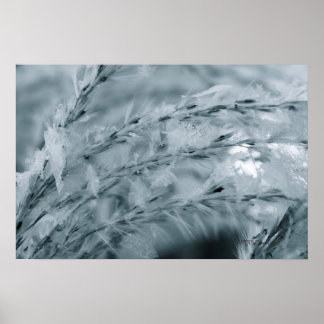 すり付き小麦 ポスター