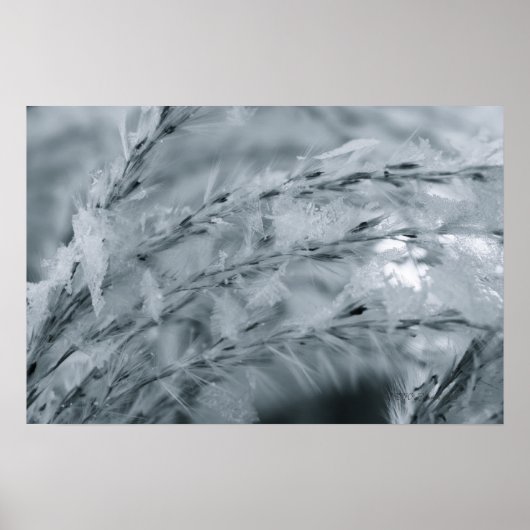 すり付き小麦 ポスター (正面)