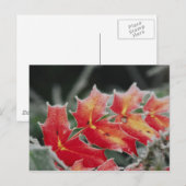 すり付き離れのはがき ポストカード (正面/裏面)