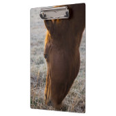 ～する時食べ間 クリップボード (左)