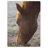 ～する時食べ間 クリップボード (裏面)