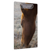 ～する時食べ間 クリップボード (右)