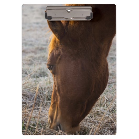 ～する時食べ間 クリップボード (正面)