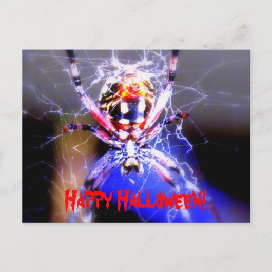 ～する用意が食べできる ポストカード (正面)