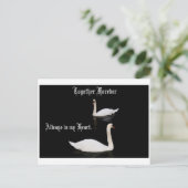 ずっと一緒に白鳥。 ポストカード (スタンド正面)