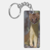 ずっと後につかれたイタチ キーホルダー (正面左)