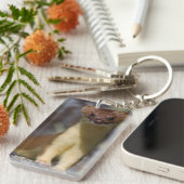 ずっと後につかれたイタチ キーホルダー (正面右)