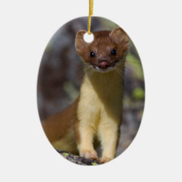 ずっと後につかれたイタチ セラミックオーナメント