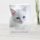 ずっと心の中で 愛猫の思い出 カード (正面)