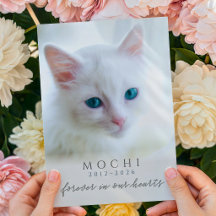 ずっと心の中で 愛猫の思い出