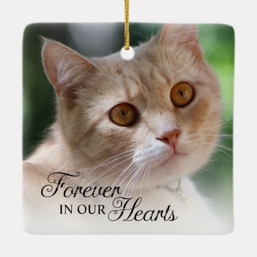 ずっと心の中に猫の写真 セラミックオーナメント (裏面)