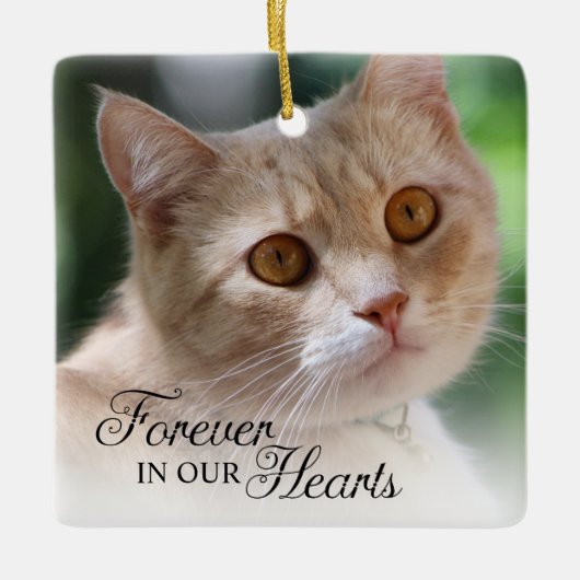 ずっと心の中に猫の写真 セラミックオーナメント (正面)