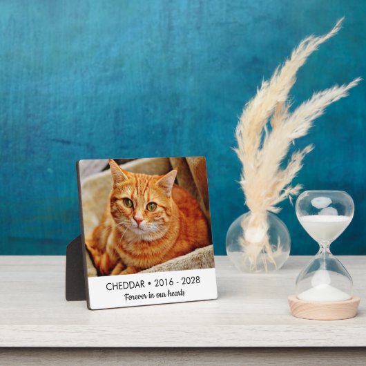 ずっと心の中に 猫のメモリアル写真 フォトプラーク (インサイチュ)