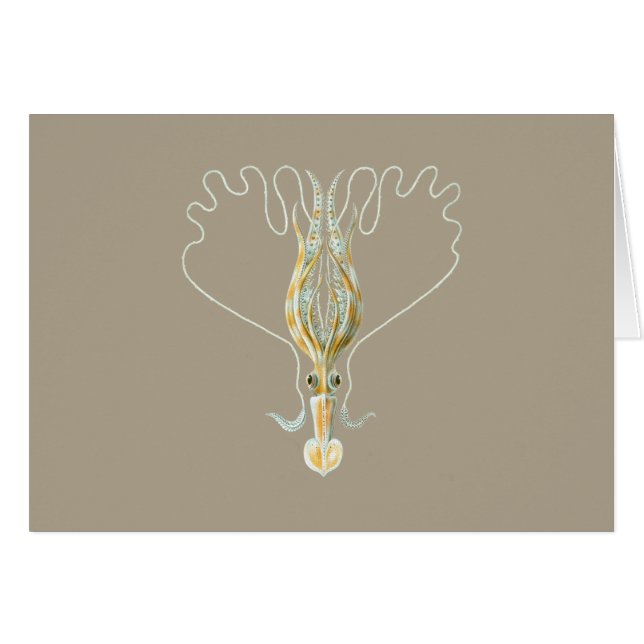 ずっと武装したイカ (正面横)