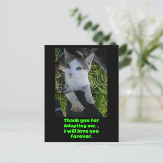 ずっと猫を愛してくれて… ポストカード (スタンド正面)