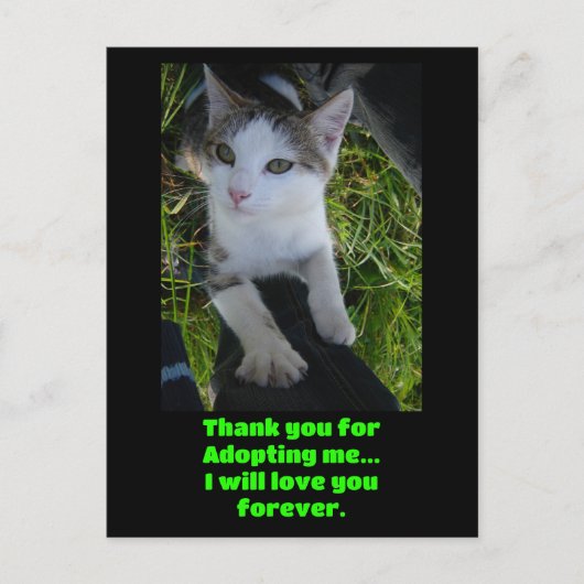 ずっと猫を愛してくれて… ポストカード (正面)