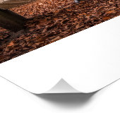 ずっと続いて…いつもポスター ポスター (コーナー)