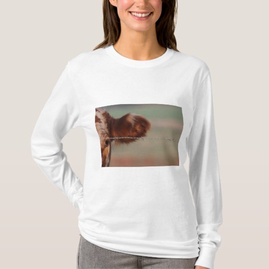 ずっとslティー、Bone本のカバーの写真1のよいママ Tシャツ (正面)