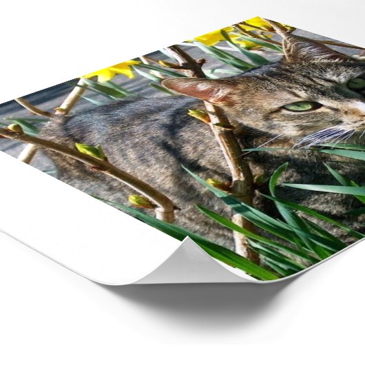 ずんぐりした ポスター (角)