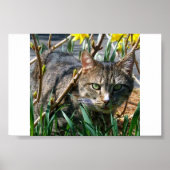 ずんぐりした ポスター (正面)