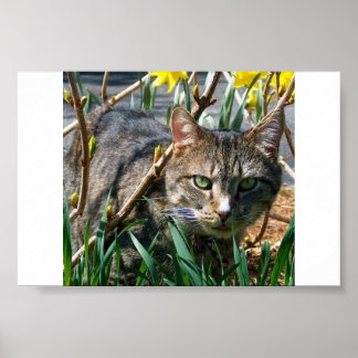 ずんぐりした ポスター