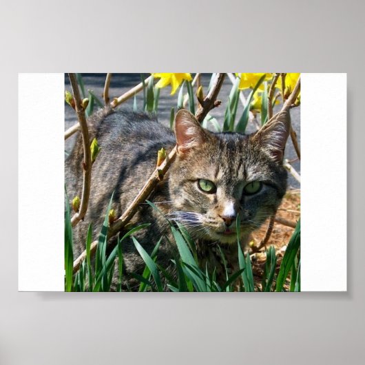 ずんぐりした ポスター (正面)