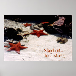 ずんぐりと星を目指す ポスター