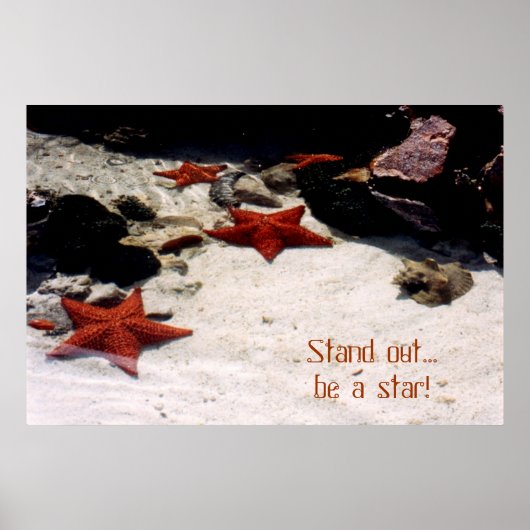 ずんぐりと星を目指す ポスター (正面)