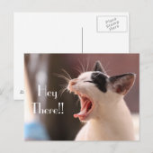 せっかちな猫あいさつ ポストカード (正面/裏面)