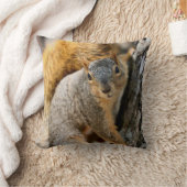 そうだろ来う？ クッション (ブランケット)