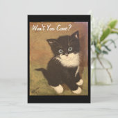 そうでしょう? 招待状 (スタンド正面)