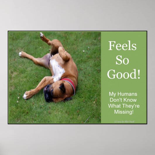 そうよいポスターを感じます ポスター (正面)