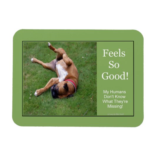 そうよい磁石を感じます マグネット (横)