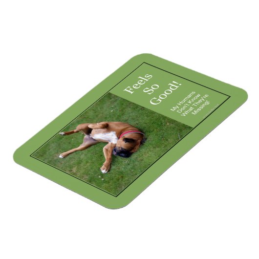 そうよい磁石を感じます マグネット (左側)