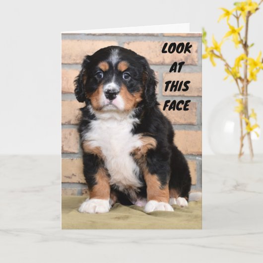 そう悲しい気持ちで言い切れない カード (黄色い花)