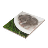 そう眠いベビーのネズミ タイル (側面)