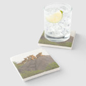 . .そこからの景色を見るライオンたちロックパーチ ストーンコースター (横)