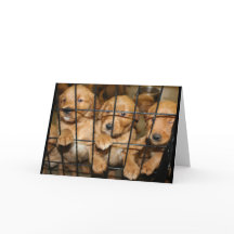 そこから出ろ！卒業ユーモア