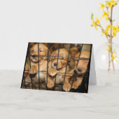 そこから出ろ!卒業ユーモア カード (黄色い花)