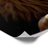 そこだ!ライオンは舌を突き出した ポスター (角)