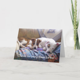 そこにあることへの犬の感謝 サンキューカード