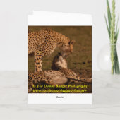 そこにあることをありがとうは梳きます サンキューカード (裏面)