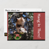 そこにつるすこと! クリスマスの郵便はがき シーズンポストカード (正面/裏面)