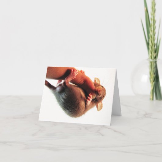 そこにラットのこつ カード (正面)