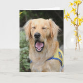 そこに挨拶状のこつ カード (黄色い花)