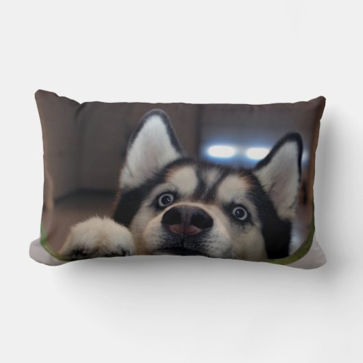 そこに誰でもか。 ランバークッション (正面)