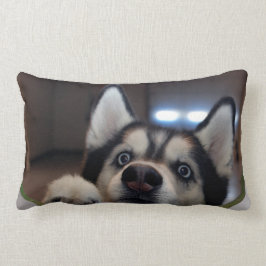 そこに誰でもか。 ランバークッション