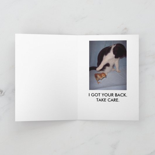 そこのこつ! カード (内部)