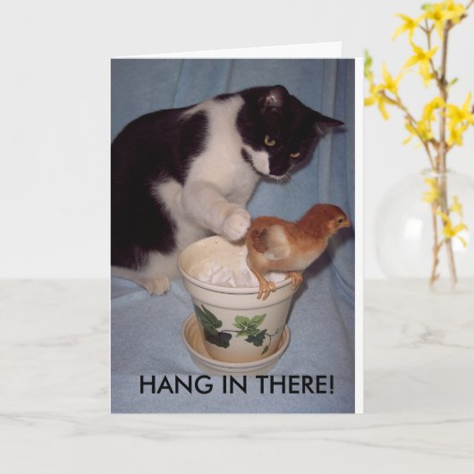 そこのこつ! カード (黄色い花)