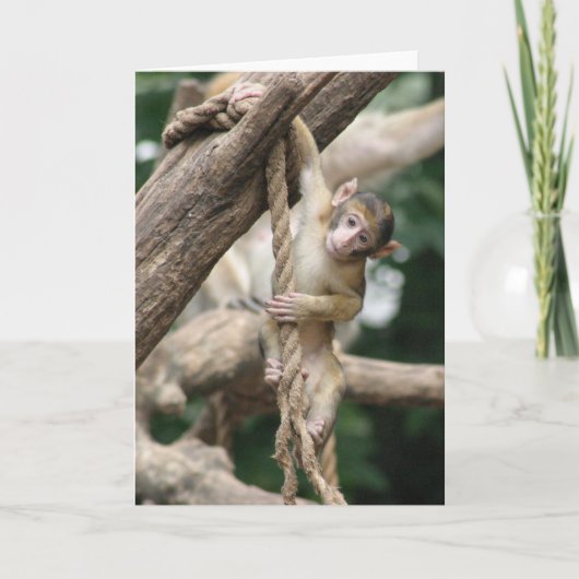 そこのこつ カード (正面)